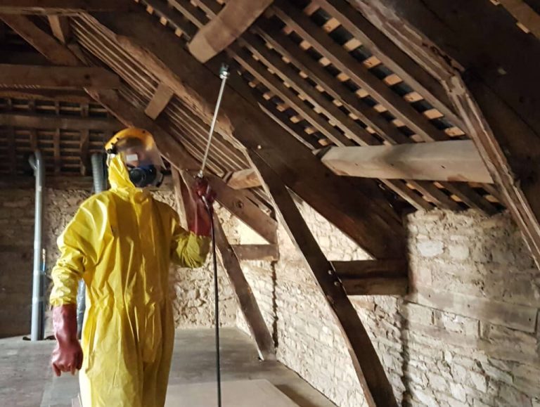 Traitement bois de charpente à ClermontFerrand France Bois Isolation